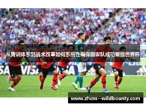 从青训体系到战术改革如何系统性确保国家队成功晋级世界杯