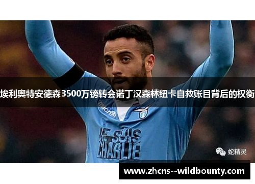 埃利奥特安德森3500万镑转会诺丁汉森林纽卡自救账目背后的权衡