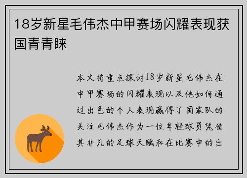 18岁新星毛伟杰中甲赛场闪耀表现获国青青睐